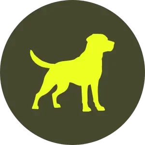 dog-icon